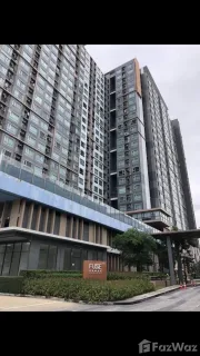 /international/th/ralph-international-co-ltd-fuse-sense-bang-khae-142-417-phutthamonthon-sai-2-rd-bang-khae-nuea-bang-khae-bangkok-10160-tha-bang-khae-nuea-bangkok-340065956534/
