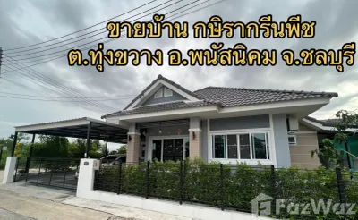 /international/th/mangmee-cats-farm-nong-bon-daeng-ban-bueng-chon-buri-20170-thailand-ban-bueng-phichit-340065986778/