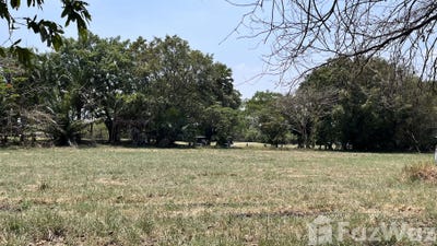 /international/th/n-fast-racing-service-85-21-ถนนบางนา-ตราด-bang-chalong-amphoe-bang-phli-samut-prakan-province-10540-tha-bang-chalong-changwat-samut-prakan-340065999372/