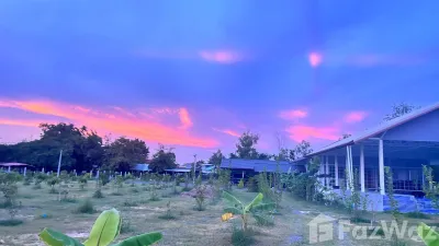 /international/th/วนิดา-เกษตรวิสัย-ร้อยเอ็ด-45150-ประเทศไทย-เกษตรวิสัย-340066050033/