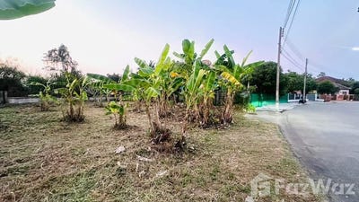 /international/th/118-muthi-4-san-na-meng-san-sai-chiang-mai-50210-thailand-san-sai-chiang-rai-340000141742/