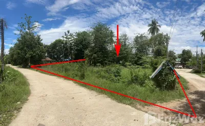 /international/th/ทางหลวงชนบท-กพ-4001-ท่าไม้-พรานกระต่าย-กำแพงเพชร-62110-ประเทศไทย-พรานกระต่าย-340000138130/