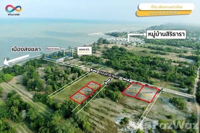 /international/th/67-1-ซอย-1-บ้านด่าน-หมู่-4-เกาะแต้ว-สงขลา-90000-ประเทศไทย-สงขลา-340000047473/