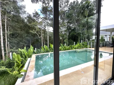 /international/th/82130-takua-thung-phangnga-tha-n-a-phang-nga-340065897695/