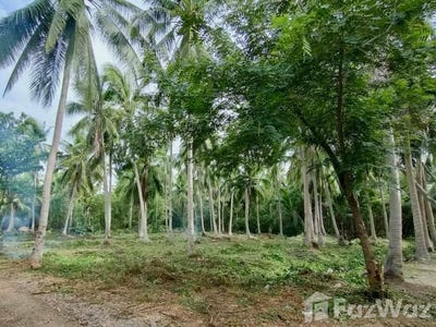 /international/th/บ้านแสนอารีนา-รีสอร์ท-บางขันแตก-สมุทรสงคราม-75000-ประเทศไทย-สมุทรสงคราม-340000112649/