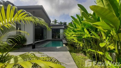 /international/th/62-37-moo-3-sakhu-thalang-phuket-83110-tha-sakhu-phuket-province-340066008920/