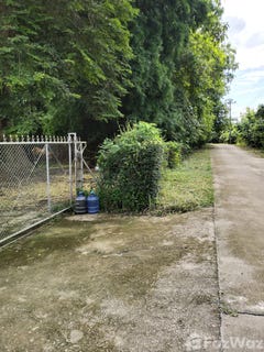/international/th/โรงเรียนบ้านหัวนา-ท่าน้าว-ภูเพียง-น่าน-55000-ประเทศไทย-ภูเพียง-340000022115/