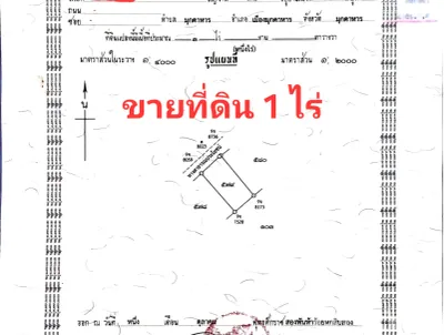 /international/th/km-grape-garden-มุกดาหาร-49000-ประเทศไทย-มุกดาหาร-340000152597/