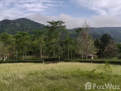 /international/th/106-343-rural-road-3052-pong-ta-long-pak-chong-nakhon-ratchasima-30130-thailand-pak-chong-phetchabun-340066023666/
