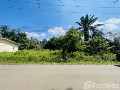/international/th/ชาริฟฟาร์ม-กระบี่น้อย-กระบี่-81000-ประเทศไทย-กระบี่-krabi-340000043961/
