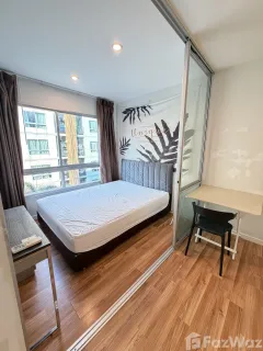 /international/th/soi-chalong-krung-31-lam-pla-thio-lat-krabang-bangkok-10520-tha-lam-pla-thio-bangkok-340066019067/