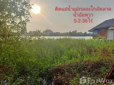 /international/th/ดิ-ออร์คิด-ฟาร์ม-บางช้าง-อัมพวา-สมุทรสงคราม-75110-ประเทศไทย-อัมพวา-340000139541/