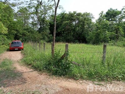 /international/th/พย-ถ-1-0037-ดงเจน-ภูกามยาว-พะเยา-56000-ประเทศไทย-ภูกามยาว-340000123334/