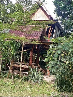 /international/th/ร้านตัดผมหนู-ภูปอ-กาฬสินธุ์-46000-ประเทศไทย-กาฬสินธุ์-340000140944/