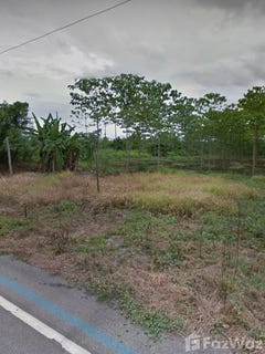 /international/th/ทางหลวงชนบท-ลพ-3019-นครเจดีย์-ป่าซาง-ลำพูน-51120-ประเทศไทย-ป่าซาง-340000127884/