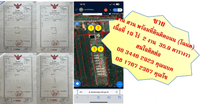 /international/th/ถนน-ชลประทาน-พท-ป่าบอน-พัทลุง-93170-ประเทศไทย-ป่าบอน-340000115141/