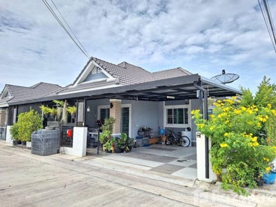 /international/th/mangmee-cats-farm-nong-bon-daeng-ban-bueng-chon-buri-20170-thailand-ban-bueng-phichit-340065837603/