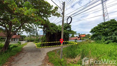 /international/th/เจ้เพ็ญ-รูสะมิแล-ปัตตานี-94000-ประเทศไทย-ปัตตานี-340000158766/