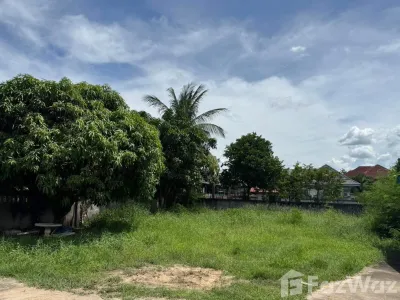 /international/th/288-ชุมเห็ด-บุรีรัมย์-31000-ประเทศไทย-บุรีรัมย์-340000072832/