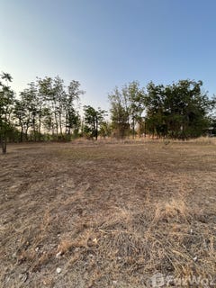 /international/th/ซอย-ธานีวิไล-หัวรอ-พิษณุโลก-65000-ประเทศไทย-พิษณุโลก-340000075790/