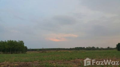 /international/th/3395-หนองน้ำใส-วัฒนานคร-สระแก้ว-27160-ประเทศไทย-วัฒนานคร-340000113434/