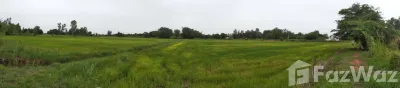 /international/th/บ้านหนองตะโก-หมู่ที่-11-วัดไทรย์-นครสวรรค์-60000-ประเทศไทย-นครสวรรค์-340000148182/