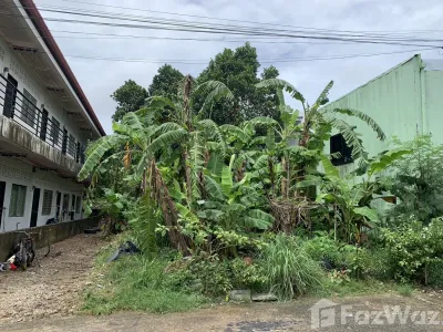 /international/th/ple-land-and-house-co-ltd-muban-ban-suan-lock-palm-29-9-phuket-3030-rural-rd-kathu-phuket-83120-tha-kathu-phuket-340065907196/