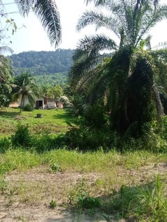 /international/th/กระบี่-81000-ประเทศไทย-กระบี่-krabi-340066049002/