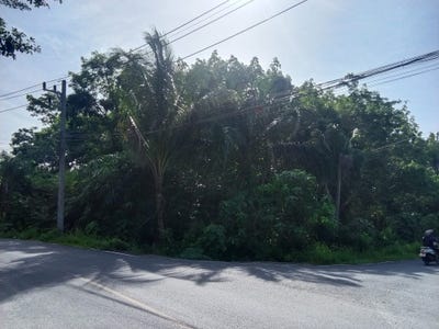 /international/th/4034-ไสไทย-กระบี่-81000-ประเทศไทย-กระบี่-krabi-340066050454/