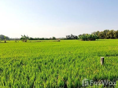 /international/th/100-ซอย-กิตติจิตต์-บ้านฉาง-ปทุมธานี-12000-ประเทศไทย-ปทุมธานี-340000085651/
