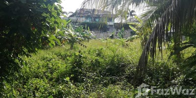 /international/th/highway-4027-thep-krasattri-thalang-phuket-83110-tha-thep-krasattri-phuket-340065967819/