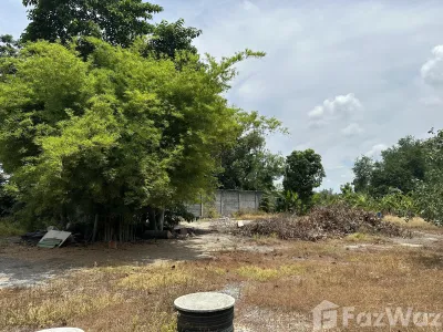 /international/th/ถนน-ปทุมสามโคก-บางปรอก-ปทุมธานี-12000-ประเทศไทย-ปทุมธานี-340000112448/
