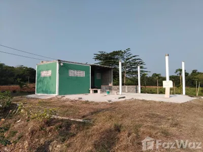/international/th/อำนวยพร-2-ถนน-สุรนารายณ์-ลำนารายณ์-ชัยบาดาล-ลพบุรี-15130-ประเทศไทย-ชัยบาดาล-340065965734/