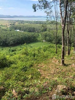 /international/th/ถ้ำพุงช้าง-ท้ายช้าง-พังงา-82000-ประเทศไทย-พังงา-340000071526/