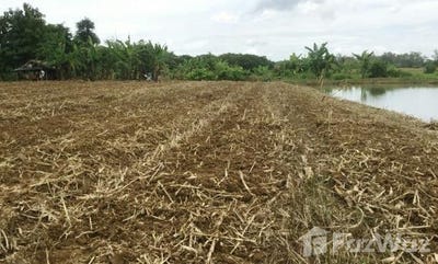 /international/th/taohuai-nam-khing-muthi-4-si-kham-mae-chan-chiang-rai-57110-thailand-mae-chan-chiang-rai-340000130095/