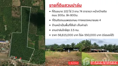 /international/th/ทิพย์จันทร์การเกษตร-ถนน-เพชรเกษม-กะเปอร์-ระนอง-85120-ประเทศไทย-กะเปอร์-340000216587/