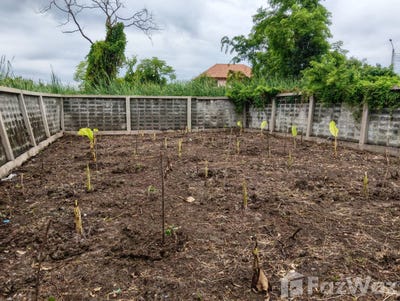 /international/th/ถนน-เทศบาล-ซอย-11-บางรักพัฒนา-บางบัวทอง-นนทบุรี-11110-ประเทศไทย-บางบัวทอง-340000150241/