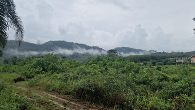 /international/th/บ้านแหลมสอม-อำเภอเมืองกระบี่-จังหวัดกระบี่-ประเทศไทย-กระบี่-krabi-340066073088/