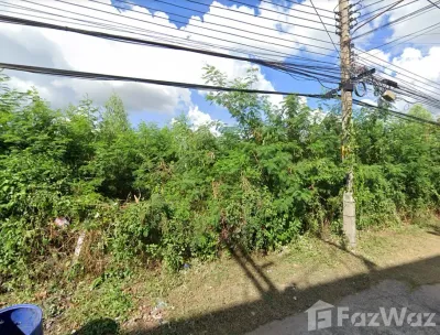 /international/th/โฮม-เบเกอรี่-ในเมือง-บุรีรัมย์-31000-ประเทศไทย-บุรีรัมย์-340000106106/