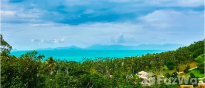 /international/th/84330-maenam-ko-samui-surat-thani-tha-maenam-surat-thani-340065947292/