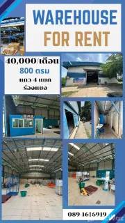 /international/th/บริษัท-เวิรล์ด-ควอลิตี้-จำกัด-หนองปลาหมอ-หนองแค-สระบุรี-18140-ประเทศไทย-หนองแค-340066019363/
