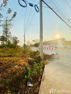 /international/th/สหกรณ์การเกษตรพิบูลมังสาหาร-จำกัด-พิบูล-พิบูลมังสาหาร-อุบลราชธานี-34110-ประเทศไทย-พิบูลมังสาหาร-340000111010/