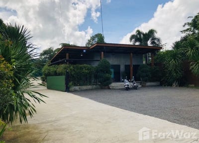 /international/th/49-ถนน-ชุมแสง-บ้านพรุ-หาดใหญ่-สงขลา-90250-ประเทศไทย-หาดใหญ่-340000127229/
