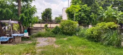 /international/th/19-162-soi-nawamin-94-ram-intra-khan-na-yao-bangkok-10230-thailand-khan-na-yao-bangkok-340000260835/
