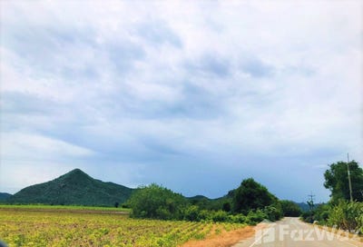 /international/th/ถนน-บ้านท่ากุ่ม-ตำบลวังด้ง-วังด้ง-กาญจนบุรี-71190-ประเทศไทย-กาญจนบุรี-340065837444/