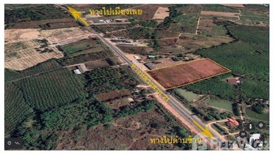 /international/th/21-โคกงาม-ด่านซ้าย-เลย-42120-ประเทศไทย-ด่านซ้าย-340000108154/