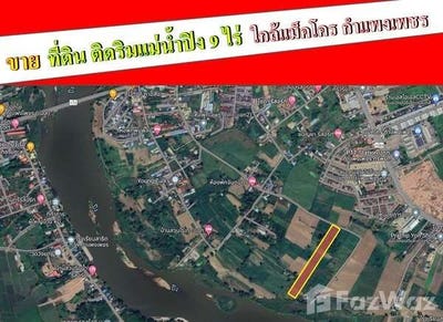 /international/th/ซ้อเค้กหน้าหมี-ในเมือง-กำแพงเพชร-62000-ประเทศไทย-กำแพงเพชร-340065909569/