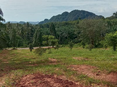 /international/th/กระบี่-81000-ประเทศไทย-กระบี่-krabi-340066032653/