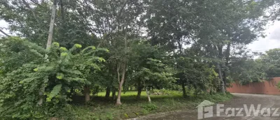 /international/th/9-19-moo-4-talat-khwan-doi-saket-chiang-mai-50220-tha-talat-khwan-chiang-mai-340065959949/