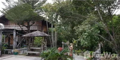 /international/th/ทางหลวงชนบท-สพ-3005-สนามคลี-สุพรรณบุรี-72230-ประเทศไทย-สุพรรณบุรี-340000148352/